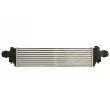 Intercooler, échangeur THERMOTEC DAX021TT - Visuel 2