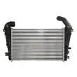 Intercooler, échangeur THERMOTEC DAX027TT - Visuel 2