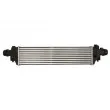 Intercooler, échangeur THERMOTEC DAX030TT - Visuel 1