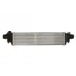 Intercooler, échangeur THERMOTEC DAX030TT - Visuel 2