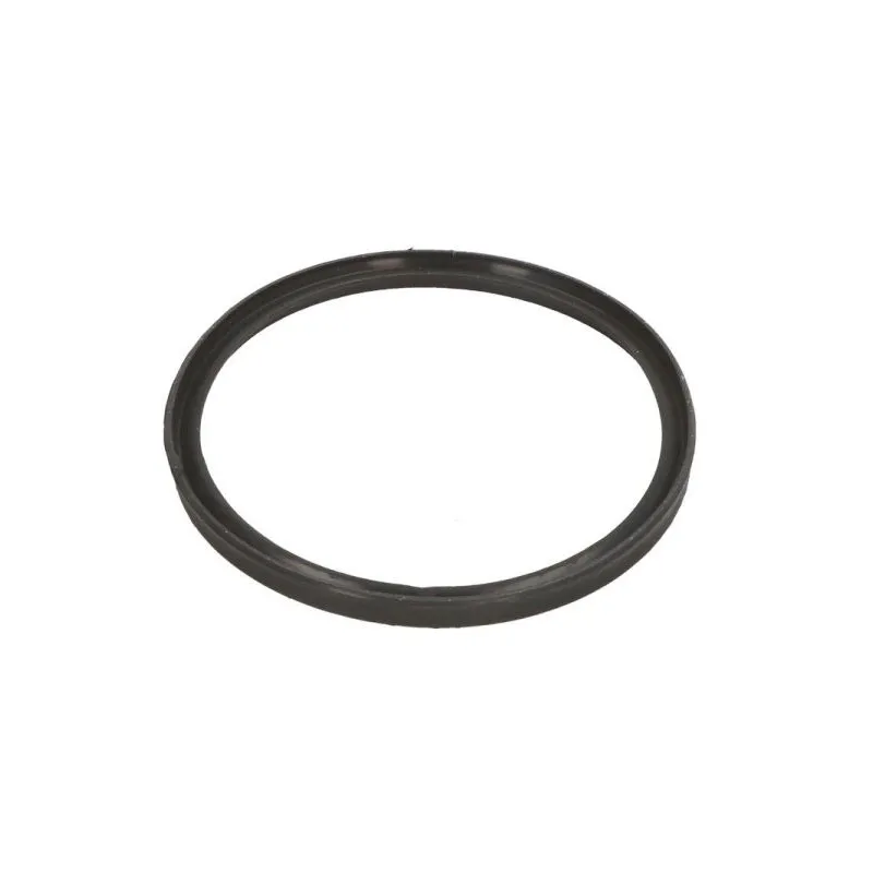 Bague d'étanchéité, gaine de suralimentation THERMOTEC DCB086TT
