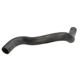 Durite de radiateur THERMOTEC DW1014TT