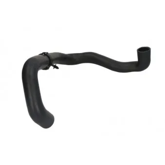 Durite de radiateur THERMOTEC DWW354TT