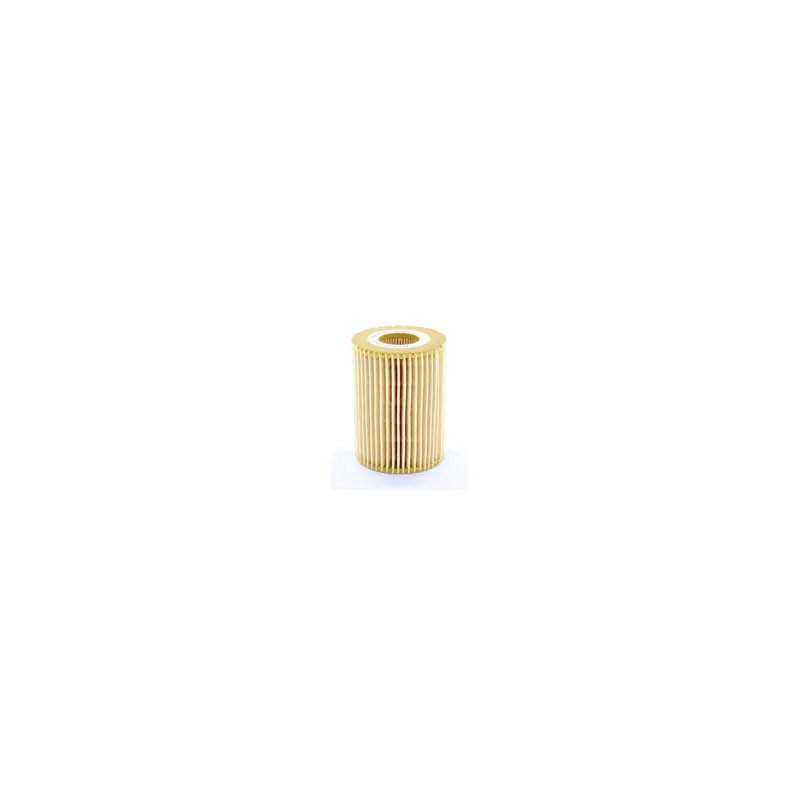 Filtre à huile FLEETGUARD LF16231