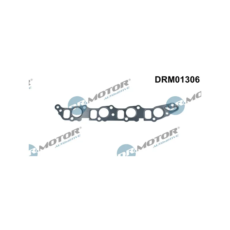 Joint d'étanchéité, collecteur d'admission Dr.Motor DRM01306