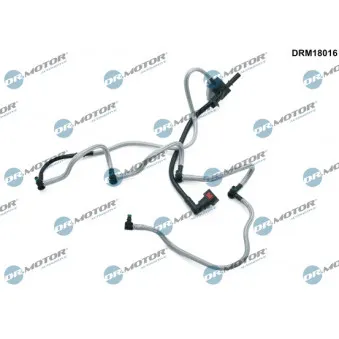 Tuyau, carburant de fuite Dr.Motor DRM18016