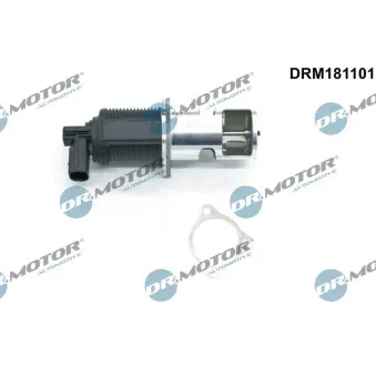 Vanne EGR Dr.Motor DRM181101
