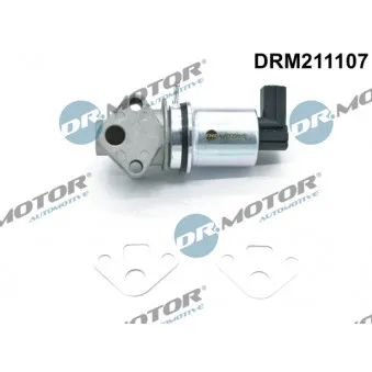 Vanne EGR Dr.Motor DRM211107