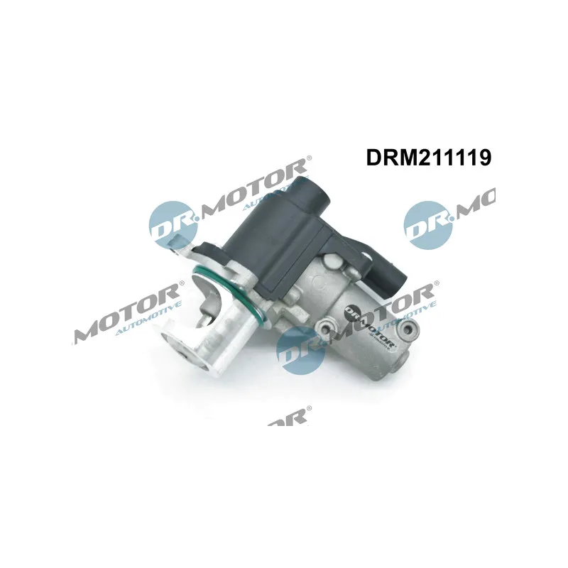 Vanne EGR Dr.Motor DRM211119