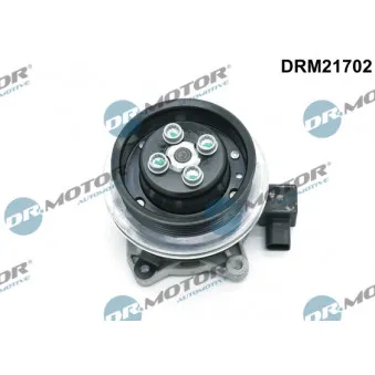 Pompe à eau Dr.Motor DRM21702