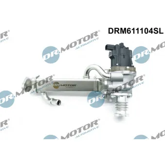 Module-EGR Dr.Motor DRM611104SL