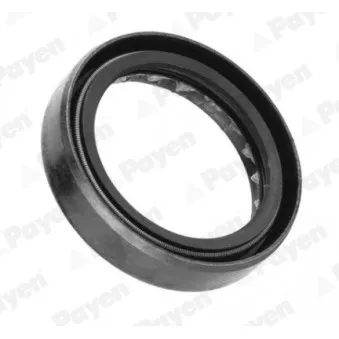 Bague d'étanchéité, boîte de vitesse manuel PAYEN NJ125
