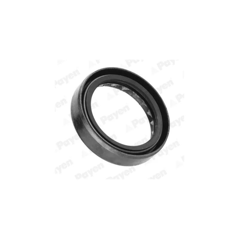 Bague d'étanchéité, boîte de vitesse manuel PAYEN NJ125