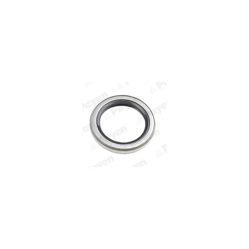 Bague d'étanchéité, moyeu de roue PAYEN NJ127