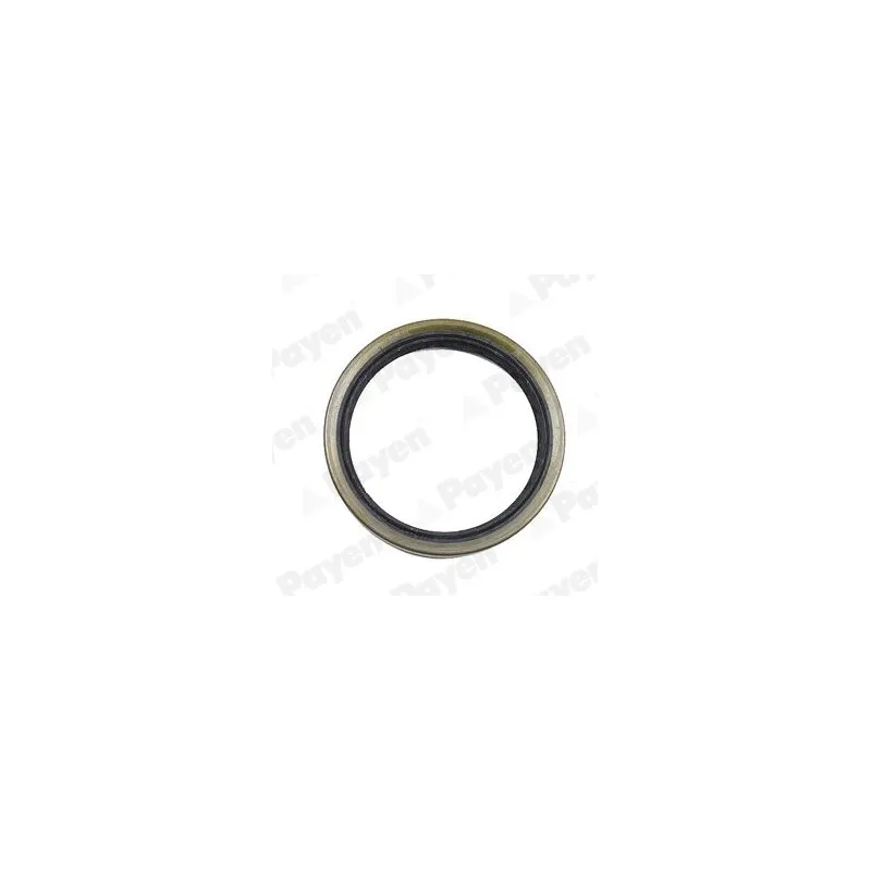 Bague d'étanchéité, moyeu de roue PAYEN NJ141