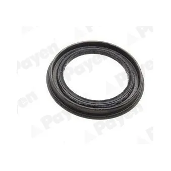 Bague d'étanchéité, moyeu de roue PAYEN NJ695