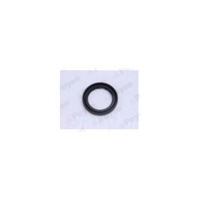 Bague d'étanchéité, moyeu de roue arrière droit PAYEN NJ743