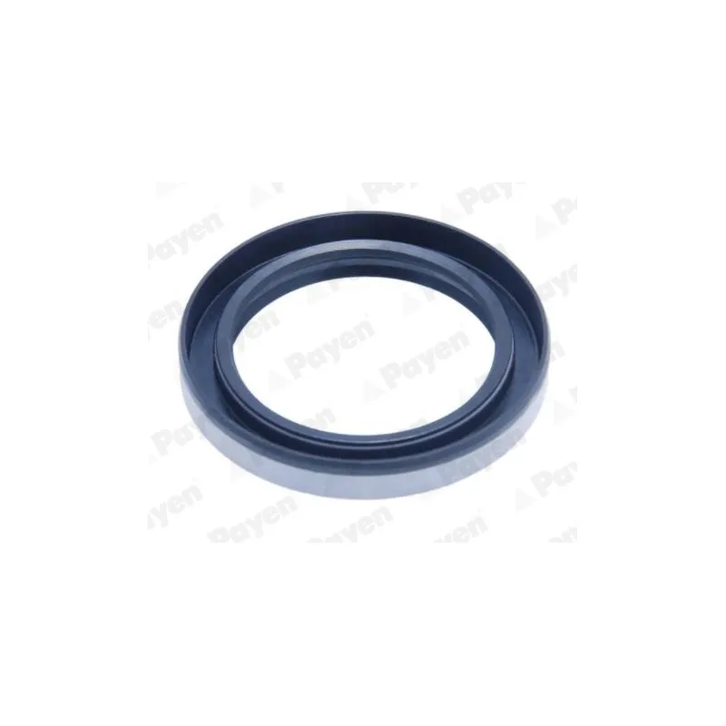 Bague d'étanchéité, moyeu de roue PAYEN NJ892
