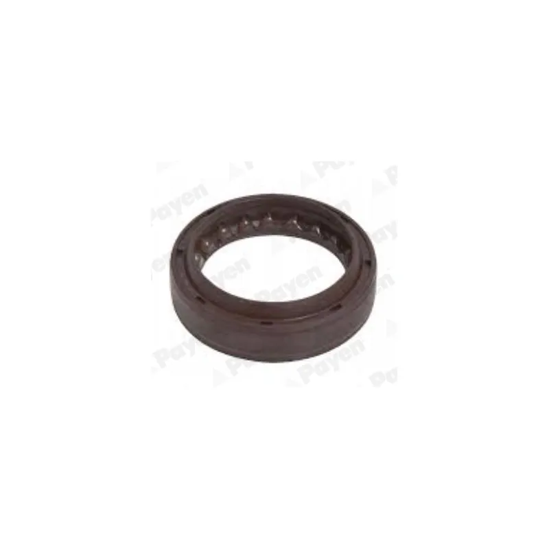 Bague d'étanchéité, boîte de vitesse manuel PAYEN NJ962