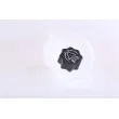 Vase d'expansion, liquide de refroidissement NISSENS 996148 - Visuel 1