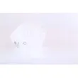 Vase d'expansion, liquide de refroidissement NISSENS 996148 - Visuel 3