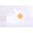 Vase d'expansion, liquide de refroidissement NISSENS 996157 - Visuel 1