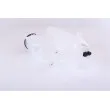 Vase d'expansion, liquide de refroidissement NISSENS 996242 - Visuel 2