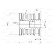 Poulie roue libre, alternateur VALEO 588093 - Visuel 2
