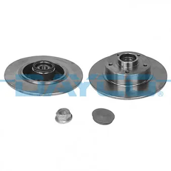 Jeu de 2 disques de frein arrière DAYCO KWD014D