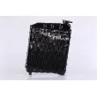 Radiateur, refroidissement du moteur NISSENS 60519 - Visuel 2