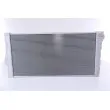 Radiateur, refroidissement du moteur NISSENS 60769 - Visuel 2