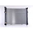 Radiateur, refroidissement du moteur NISSENS 609891 - Visuel 1