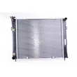Radiateur, refroidissement du moteur NISSENS 61000 - Visuel 1