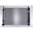 Radiateur, refroidissement du moteur NISSENS 616907 - Visuel 1