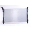 Radiateur, refroidissement du moteur NISSENS 617854 - Visuel 2