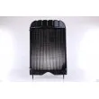 Radiateur, refroidissement du moteur NISSENS 62253 - Visuel 2