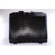 Radiateur, refroidissement du moteur NISSENS 62581 - Visuel 2