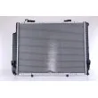Radiateur, refroidissement du moteur NISSENS 62611A - Visuel 2