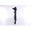 Radiateur, refroidissement du moteur NISSENS 628952 - Visuel 3