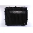 Radiateur, refroidissement du moteur NISSENS 628953 - Visuel 1