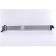 Radiateur, batterie de traction NISSENS 666209 - Visuel 1