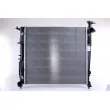 Radiateur, refroidissement du moteur NISSENS 666234 - Visuel 1