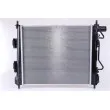 Radiateur, refroidissement du moteur NISSENS 675025 - Visuel 2