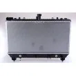 Radiateur, refroidissement du moteur NISSENS 69097 - Visuel 1