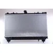 Radiateur, refroidissement du moteur NISSENS 69097 - Visuel 2