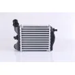 Intercooler, échangeur NISSENS 96167 - Visuel 3