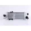 Intercooler, échangeur NISSENS 96409 - Visuel 1