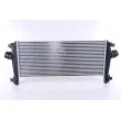 Intercooler, échangeur NISSENS 96555 - Visuel 2
