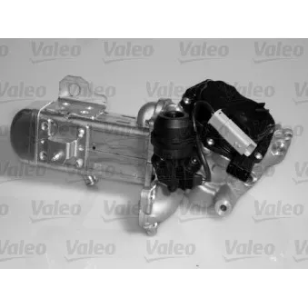 Module-EGR VALEO 700434