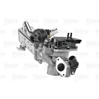 Module-EGR VALEO 700441